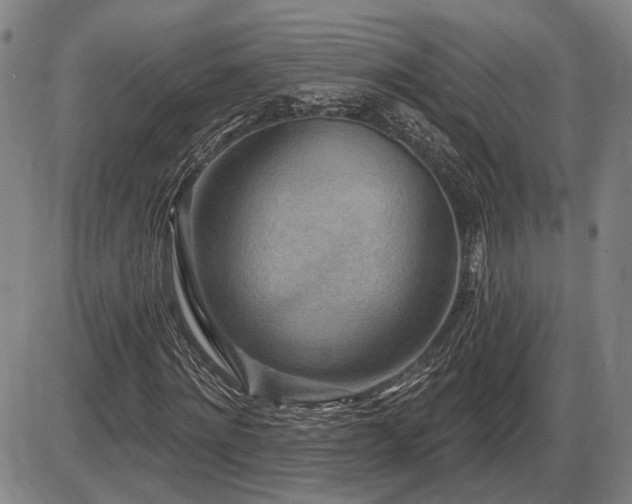 X0000086270868200703291433
