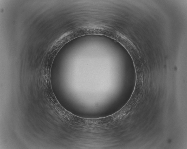 X0000086270870200703291433