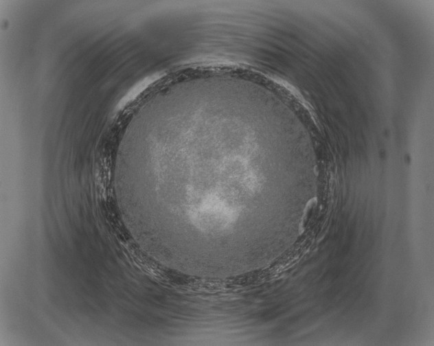 X0000086270871200703291433