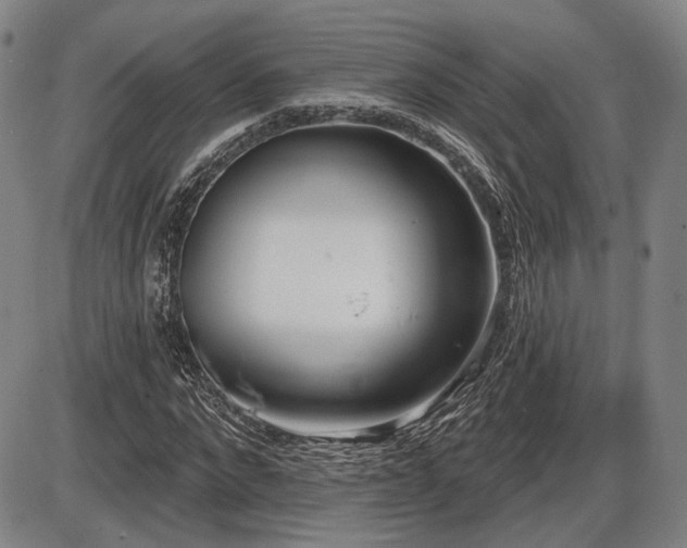 X0000086270872200703291433