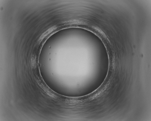 X0000086270873200703291433