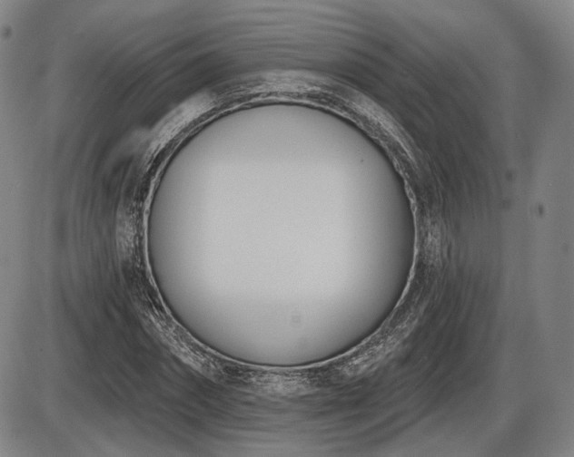 X0000086270874200703291433
