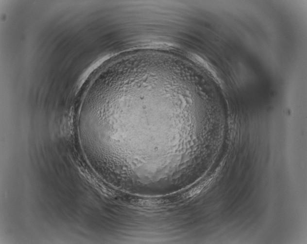 X0000086270875200703291433