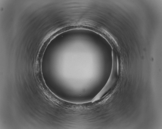 X0000086270876200703291433