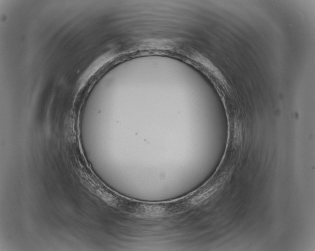 X0000086270878200703291433