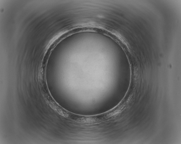 X0000086270879200703291433