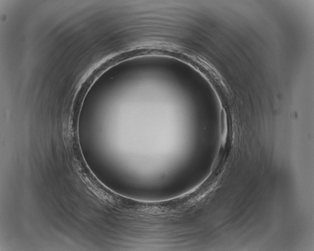 X0000086270880200703291433