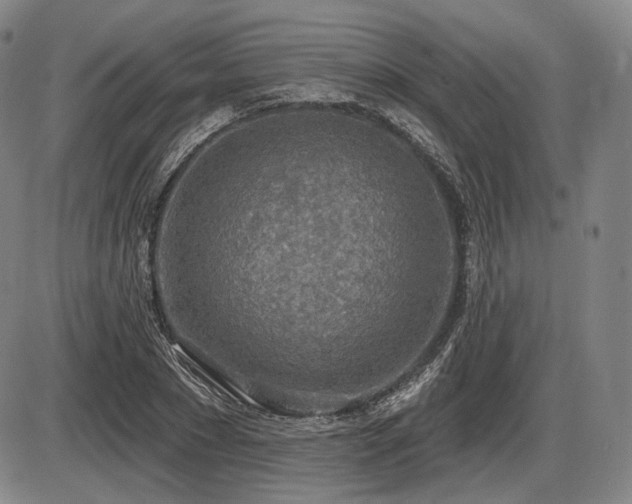 X0000086270881200703291433