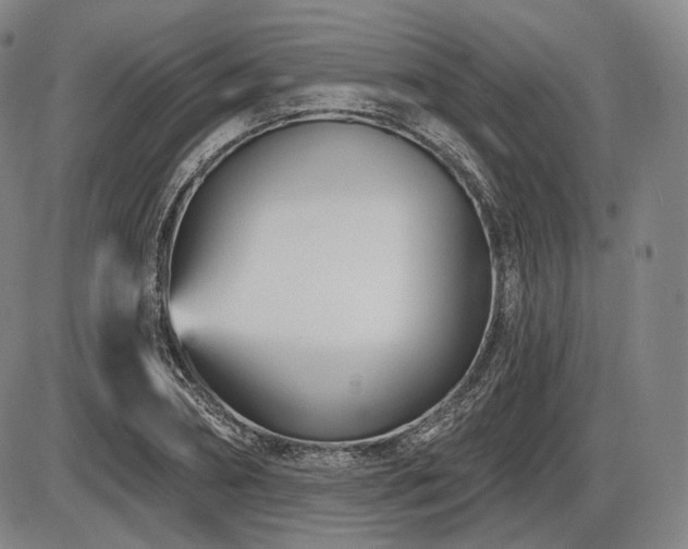 X0000086270882200703291433