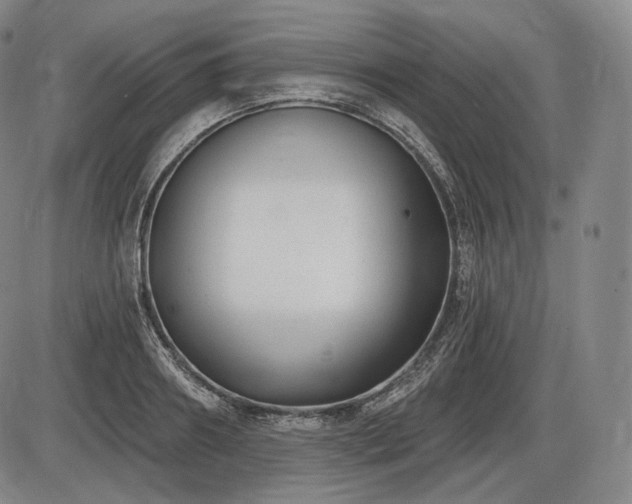 X0000086270890200703291432