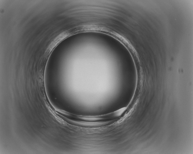 X0000086270897200703291432