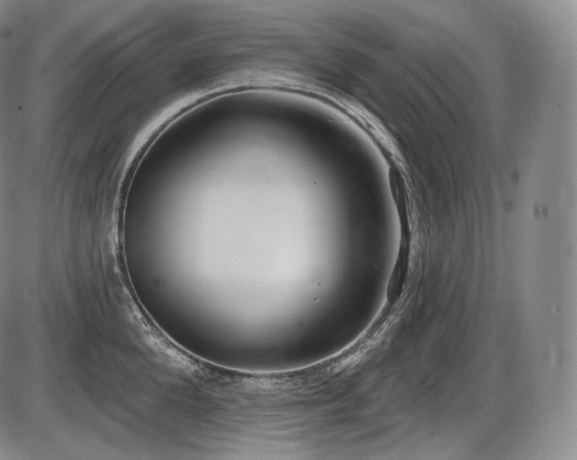 X0000086270904200703291432