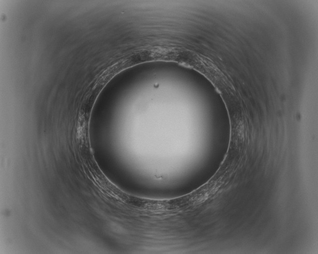 X0000086270914200703291431