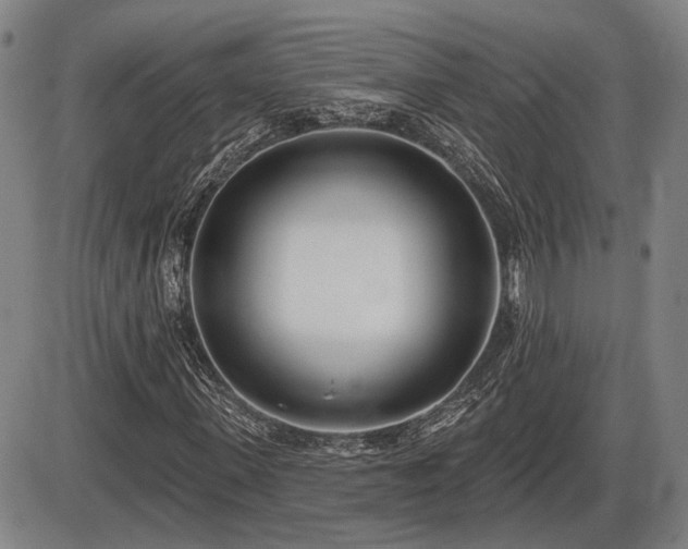 X0000086270915200703291431