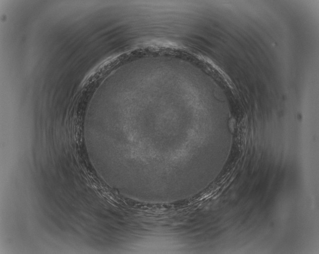 X0000086270919200703291431