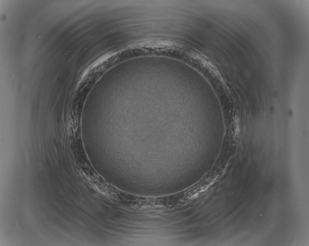 X0000086270920200703291431