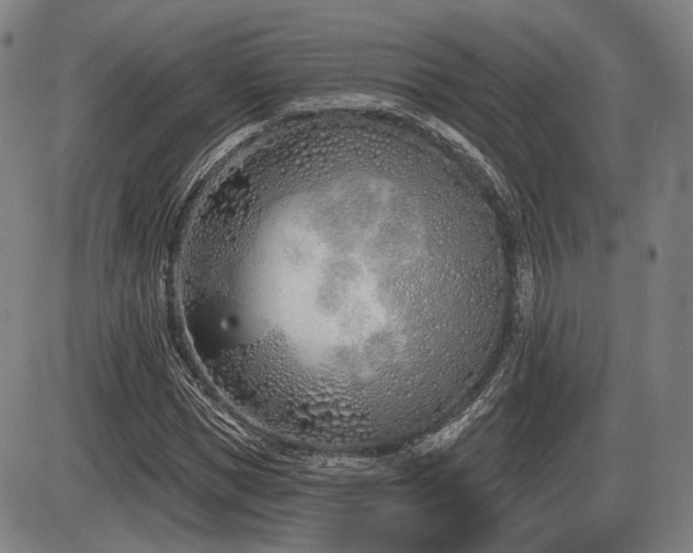 X0000086270921200703291431