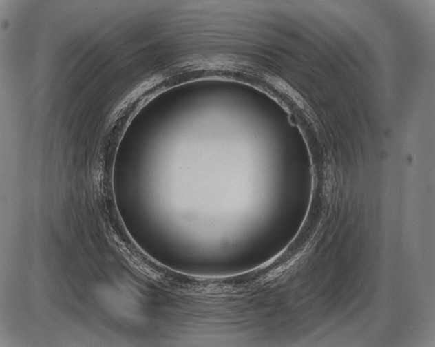 X0000086270922200703291431