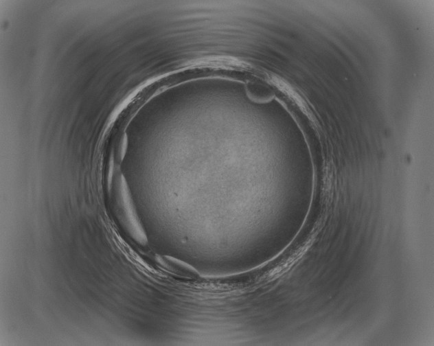 X0000086270923200703291431