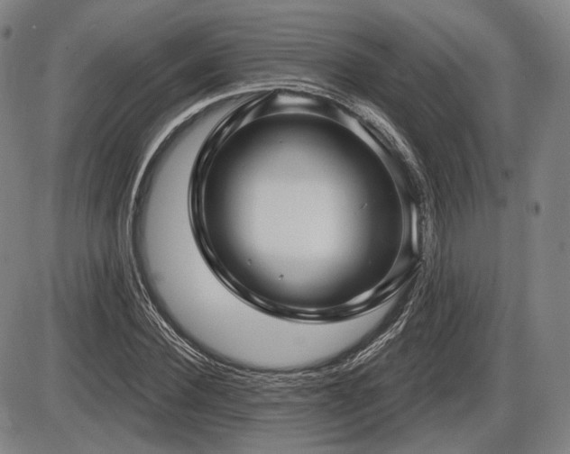 X0000086270924200703291432