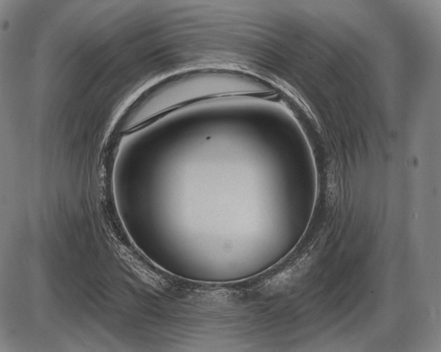 X0000086270926200703291432