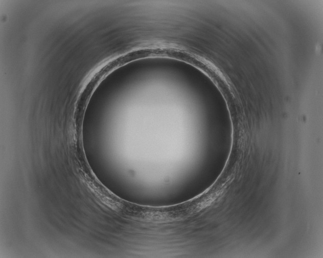 X0000086270927200703291432