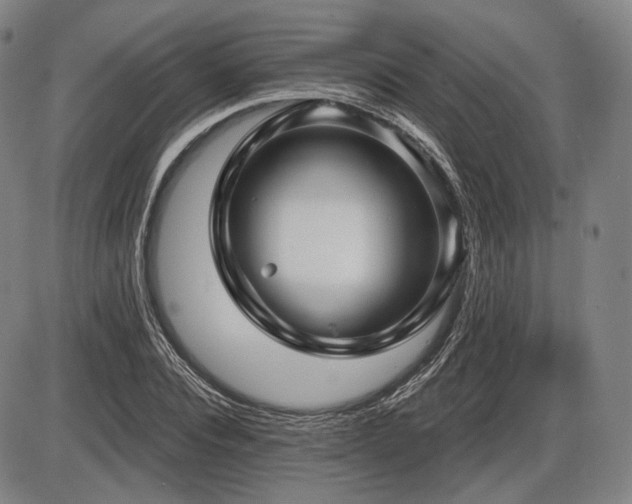 X0000086270928200703291432