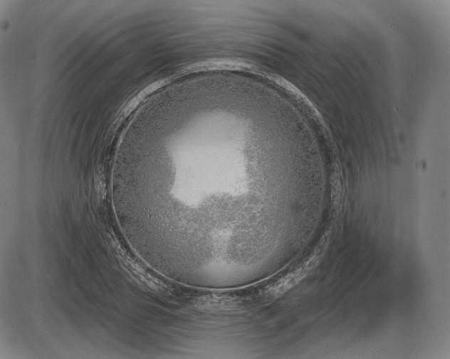 X0000086270929200703291432
