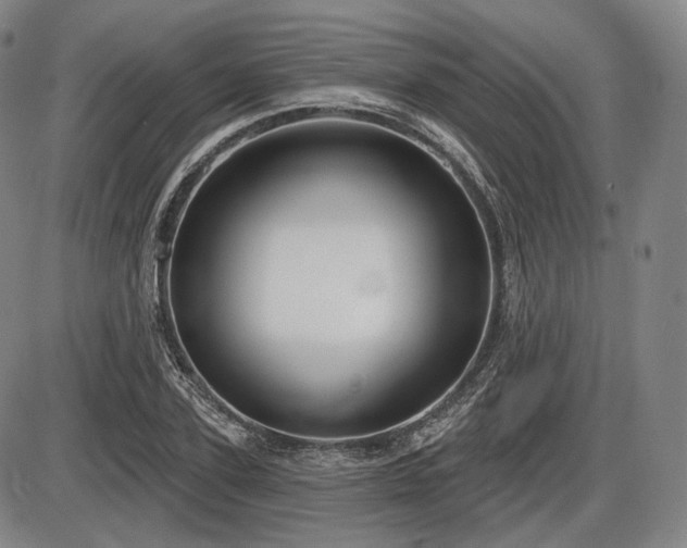 X0000086270931200703291432
