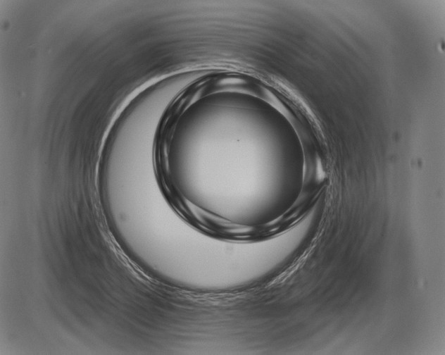 X0000086270932200703291432