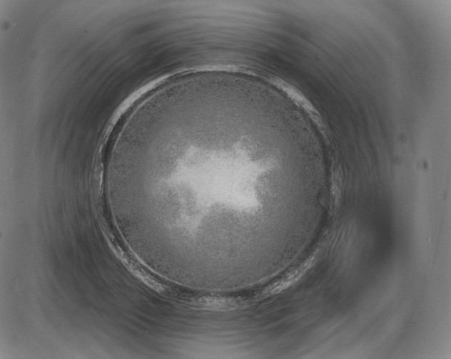 X0000086270933200703291432