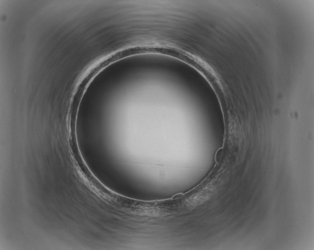 X0000086270935200703291432