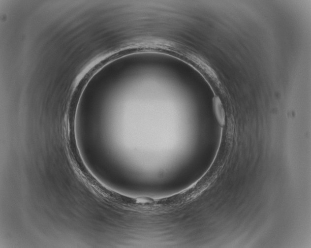 X0000086270936200703291432