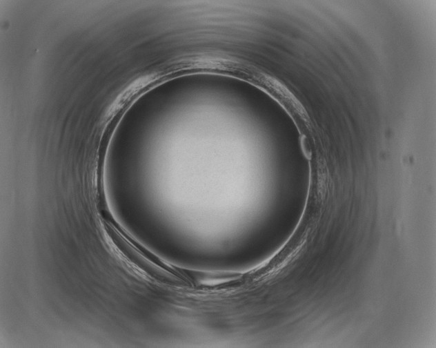 X0000086270938200703291432