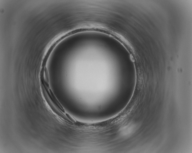 X0000086270943200703291432