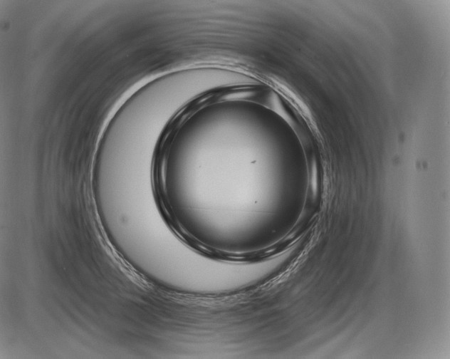 X0000086270948200703291432