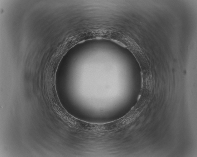 X0000086270961200703291431