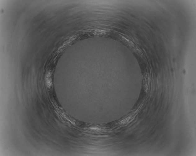 X0000086270962200703291431