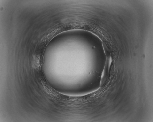 X0000086270963200703291431