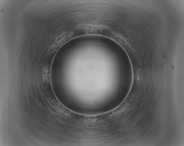 X0000086270964200703291431