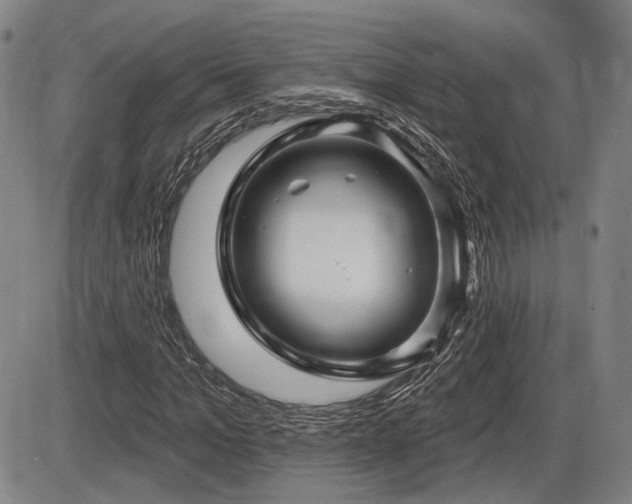 X0000086270965200703291431