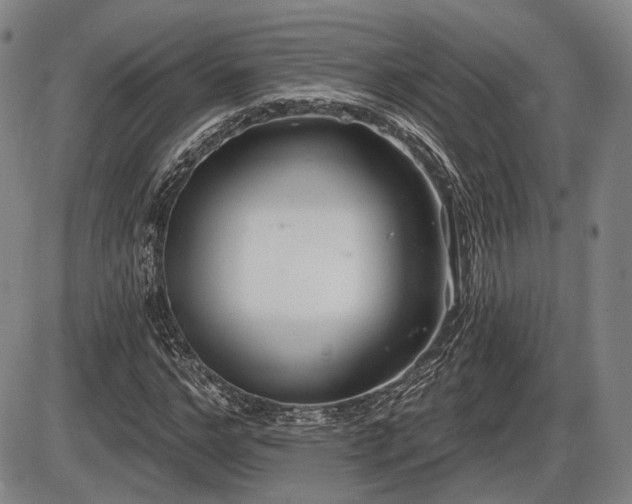 X0000086270968200703291431