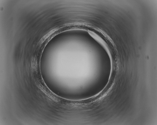 X0000086270969200703291431