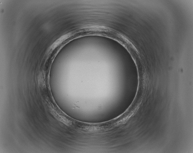 X0000086270970200703291431