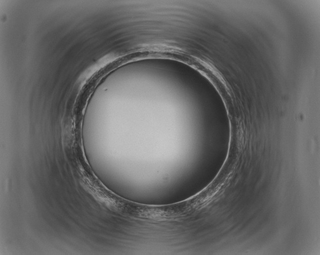 X0000086270971200703291431