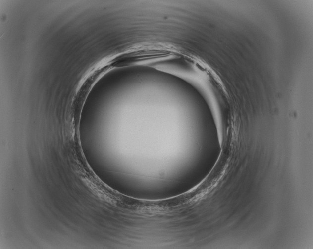 X0000086270973200703291431