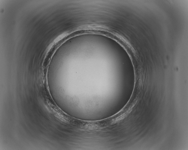 X0000086270974200703291431