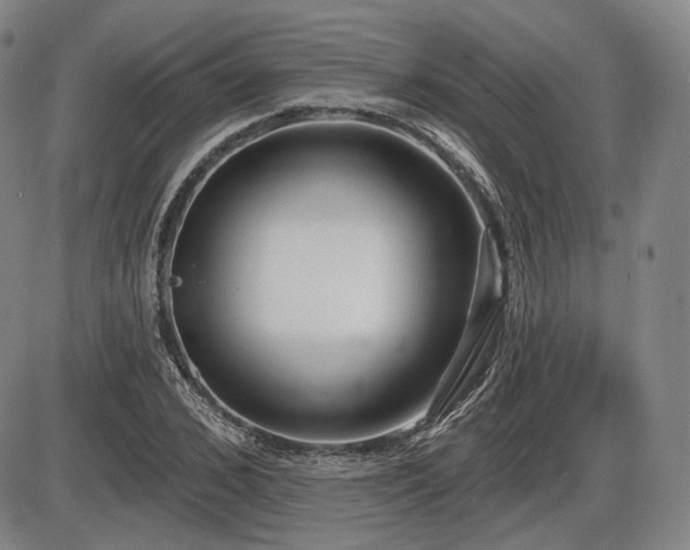 X0000086270976200703291431