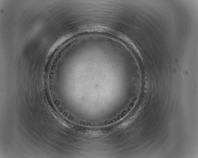 X0000086270978200703291431