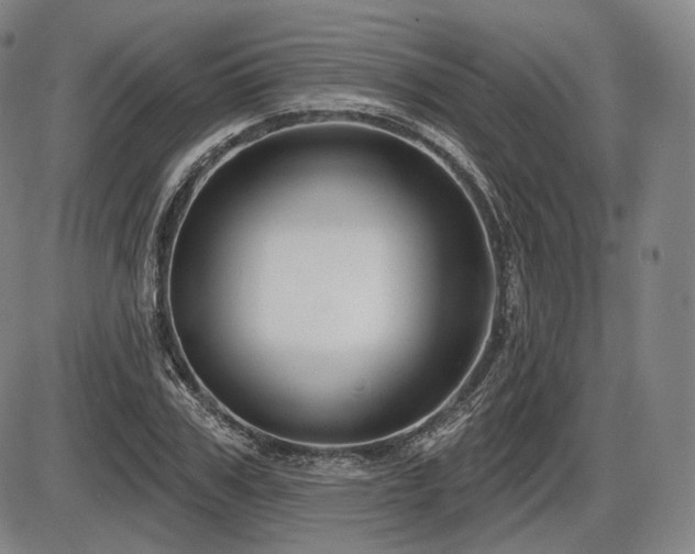 X0000086270979200703291431